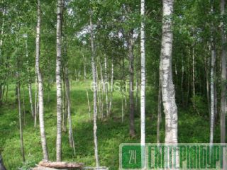 Продам 3-к. квартиру, ул. Сыромолотова, 11а (ЖБИ (Комсомольский)) Екатеринбург