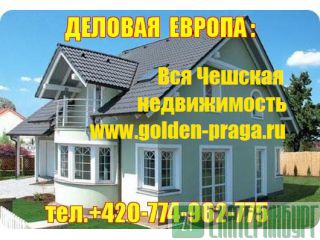     : www.golden-praga.ru 