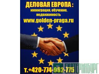     : www.golden-praga.ru 