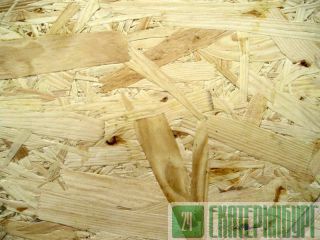  OSB-2 250018509  (, )    133 ./. 