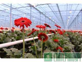    ,      Led Grow Light 