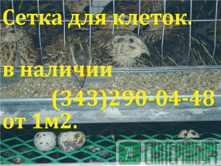  .. 25501,6	 (150) 