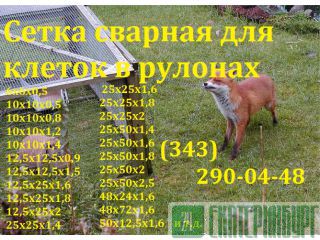 Сетка оцинкованная сварная 50х50х1,8 (1,5х30; 1,8х30) Екатеринбург
