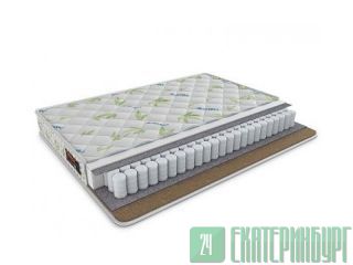  Tatami  