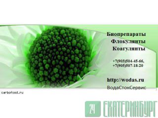 Bichem DC 1008 -          