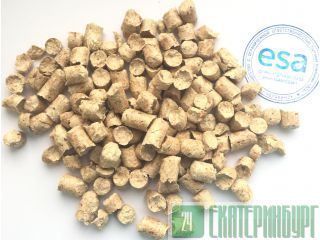  ESA      