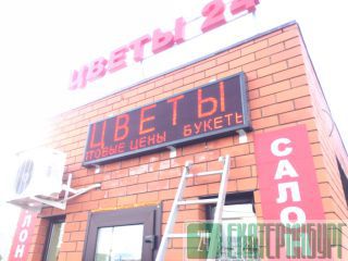 LED   