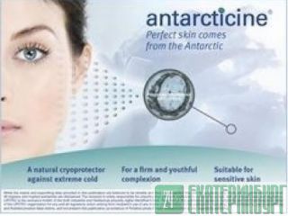 Antarcticine   