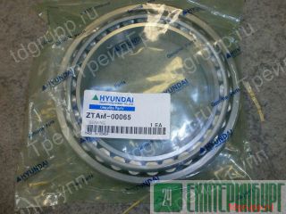 ZTAM-00065 ��������� ������������