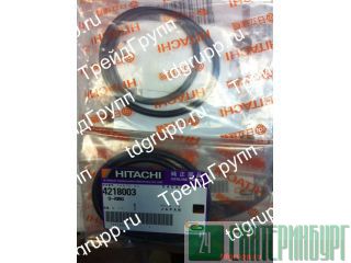 4218003 -  EX700 