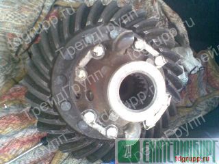 ������������ ������� �������� ������������