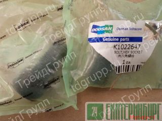 K1022647   (bolt, hex socket) 