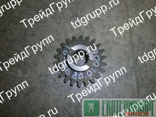 18.80.01.006  18 