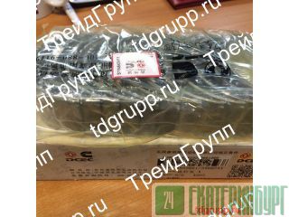 3950661/3966244 ��������/���������� �������� Cummins QSL ������������