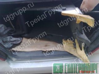 ���� ���������� ������������