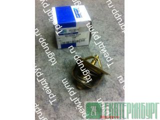 65.06402-5004  Doosan DL06 