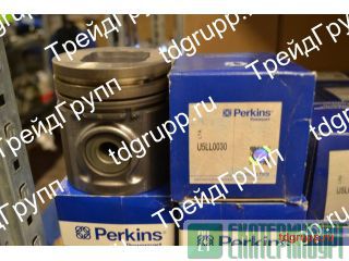 U5LL0030    Perkins 