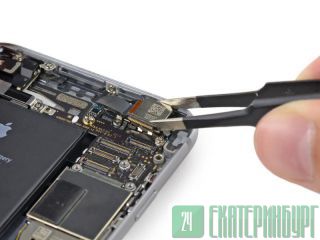   iPhone.  
