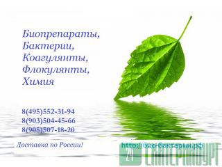 Bichem DC 1008 / - DC 1008         