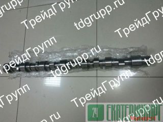 344-9038  CAT 