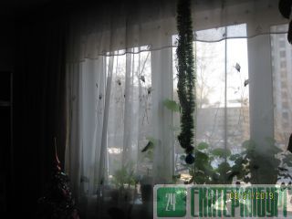  3- . 