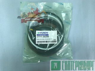  /  31Y1-30290  R300LC-9S 