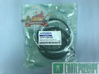  /  31Y1-29100  R220LC-9S 