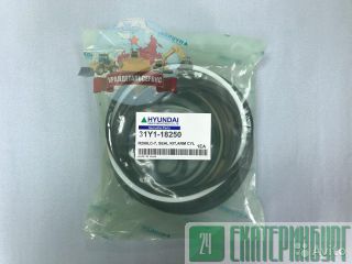  /  31Y1-18250  R250LC-7 