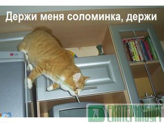 - (, ,  ) 