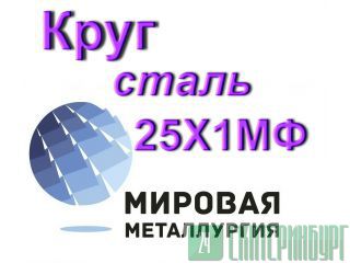   251 