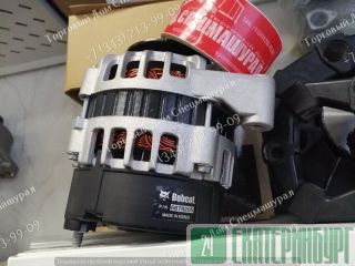  6678205   Bobcat 