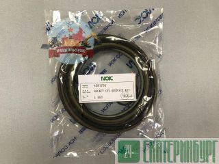 Р/к г/ц ковша 4391705 на Hitachi ZX450 NOK Екатеринбург