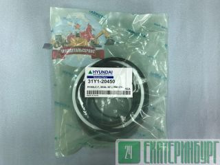 / /  31Y1-20450  Hyundai R160LC-7 NOK 