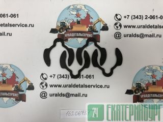 "  16206731 " 