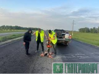 ������ ��������� ������������� �����, ����������� �����������