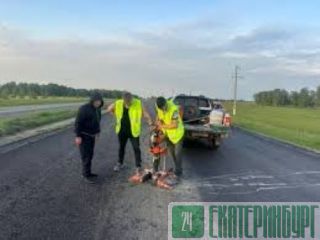 ������ ��������� ������������� ����� �� ������������ �����������