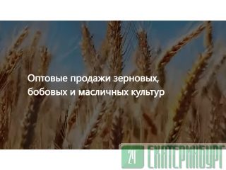 ��� �������� - ������� ���������� ��������� ������� ������� ������������