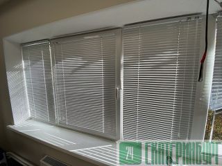 ������ ������������