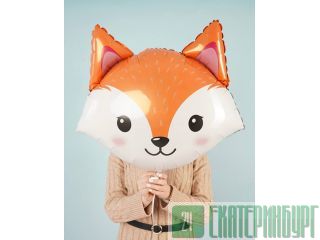 ������� �������������� ���� ������ ������������