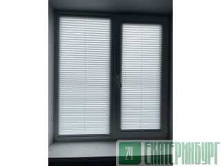 ����� ������ ASJ ������������