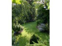 ������� ������� � ��