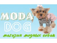   "MODA DOG"