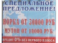 Логотип АЛЯСКА, ООО
