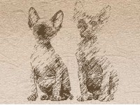     PHARAON CATS