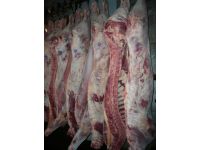 ������� ��������