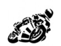 Логотип MOTOIMPORT.ru
