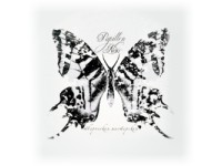 Papillon Noir, 