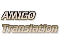  Amigo Translation Ltd