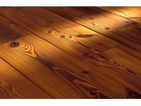 ������� ������ ���