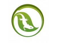  ECO BEST    